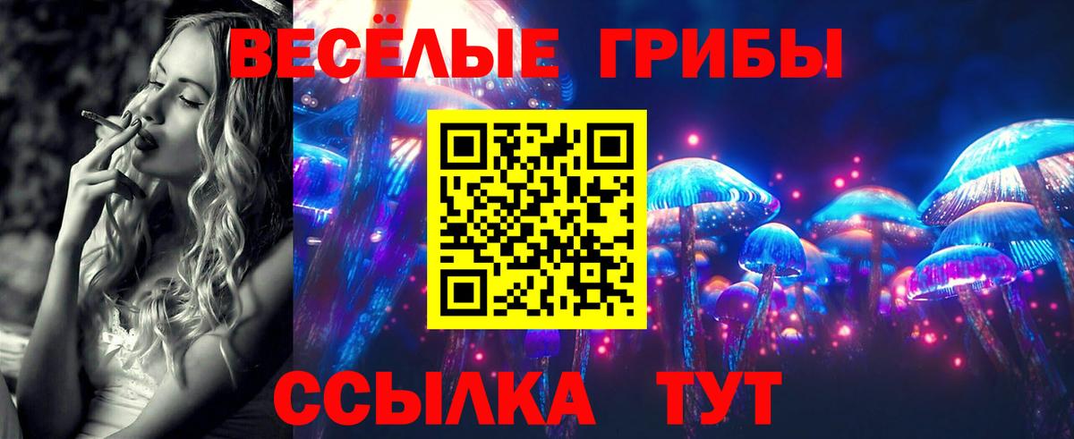 Псилоцибиновые грибы прущие грибы  Псилоцибиновые грибы Cubensis  Отрадное  Вход с VPN 